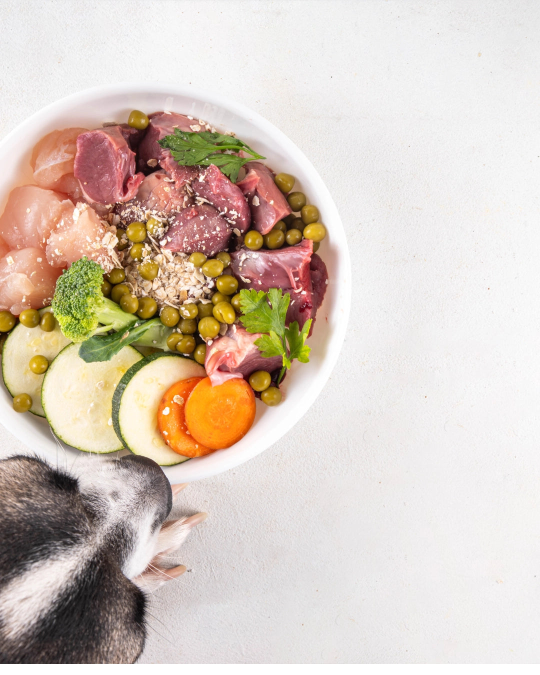 Dieta Pollo para Perros 1kg