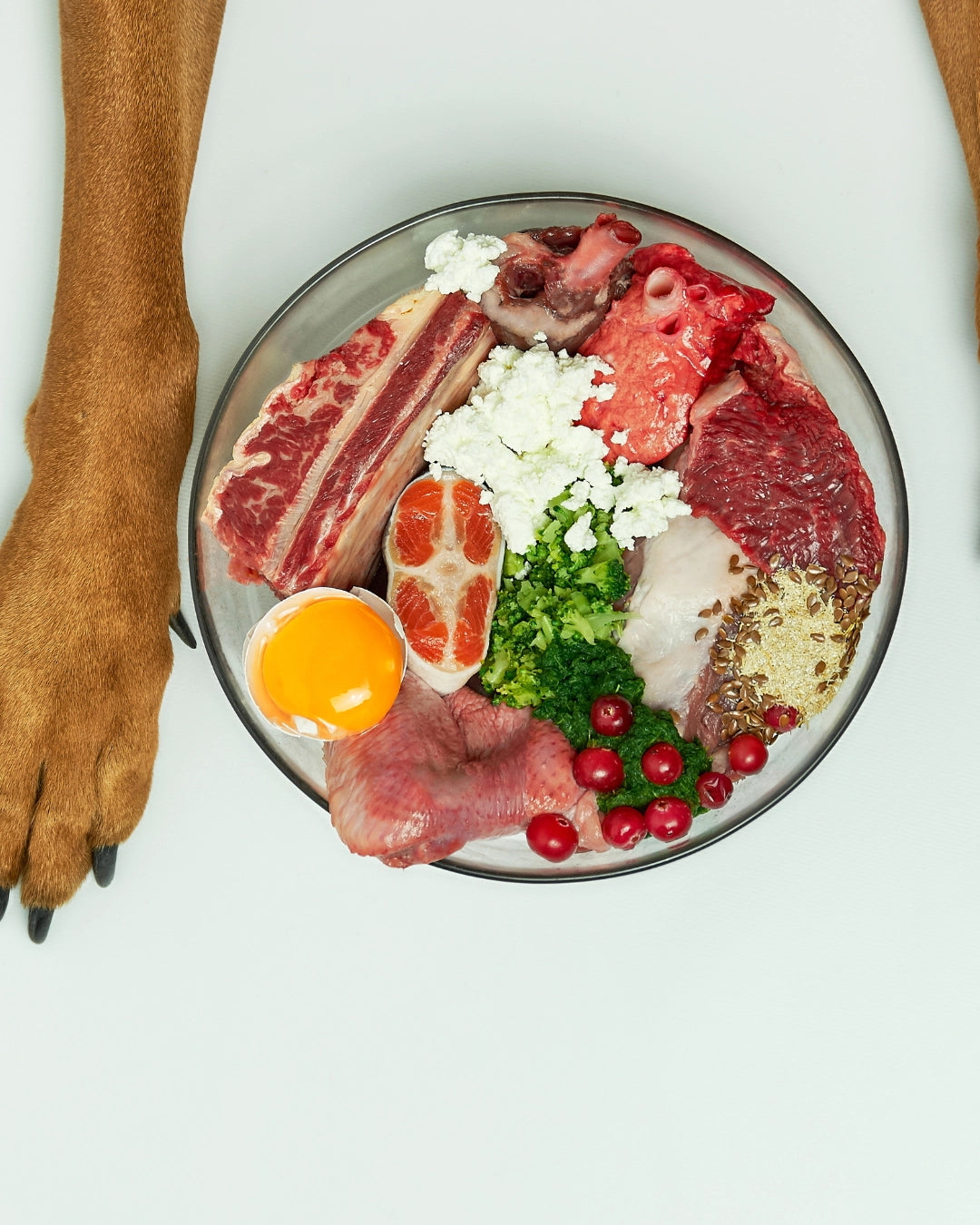 Dieta Pescado para Perros 1kg