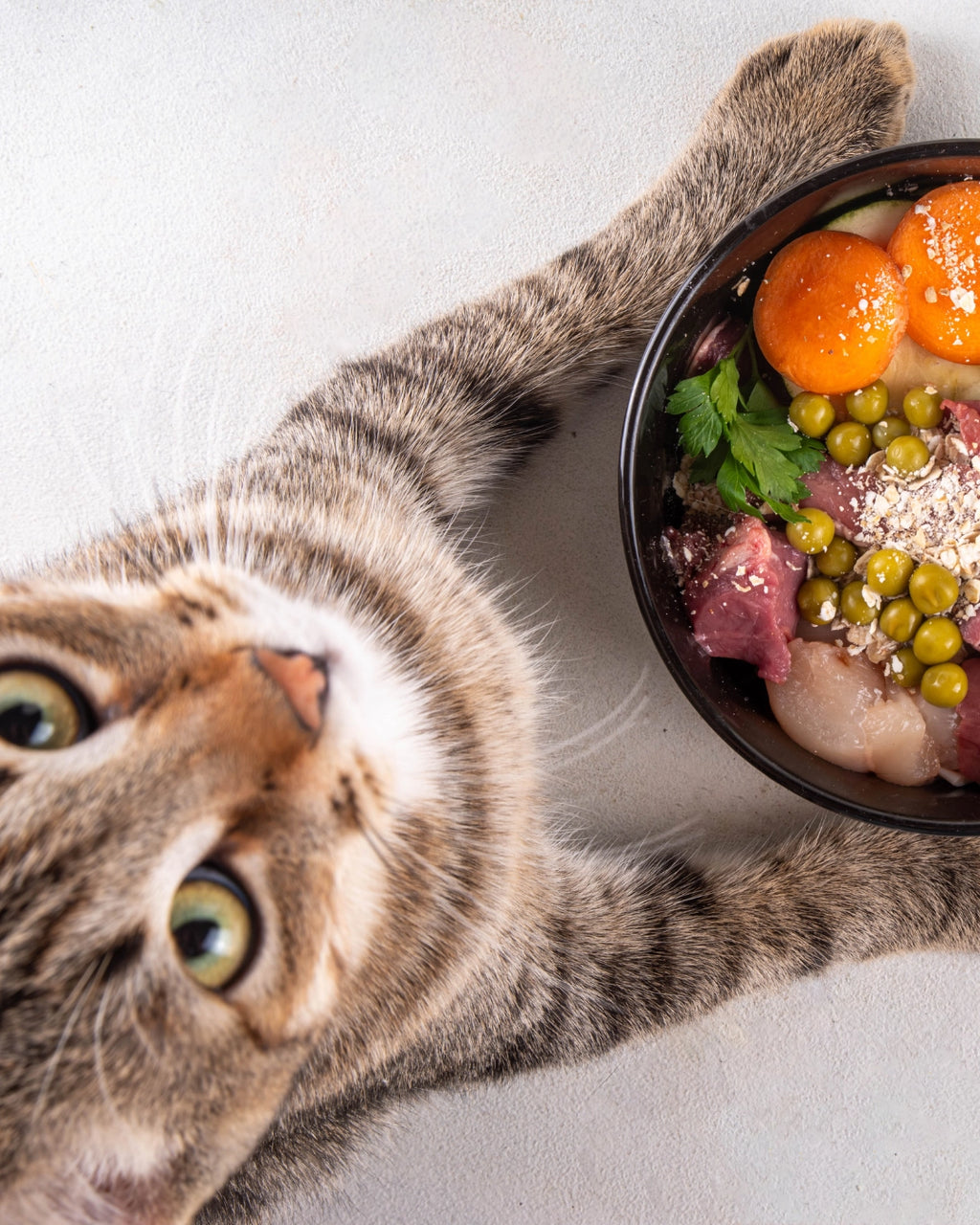 Dieta Pescado para Gatos 1kg